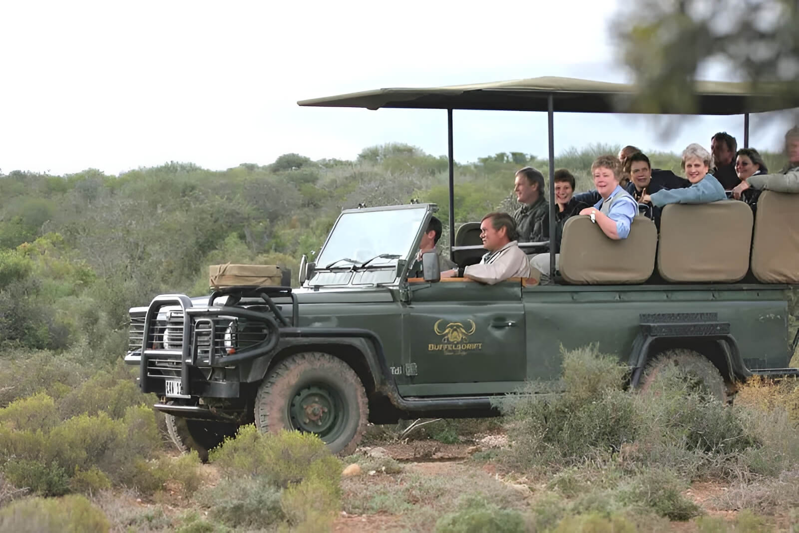 buffelsdrift game drives 1