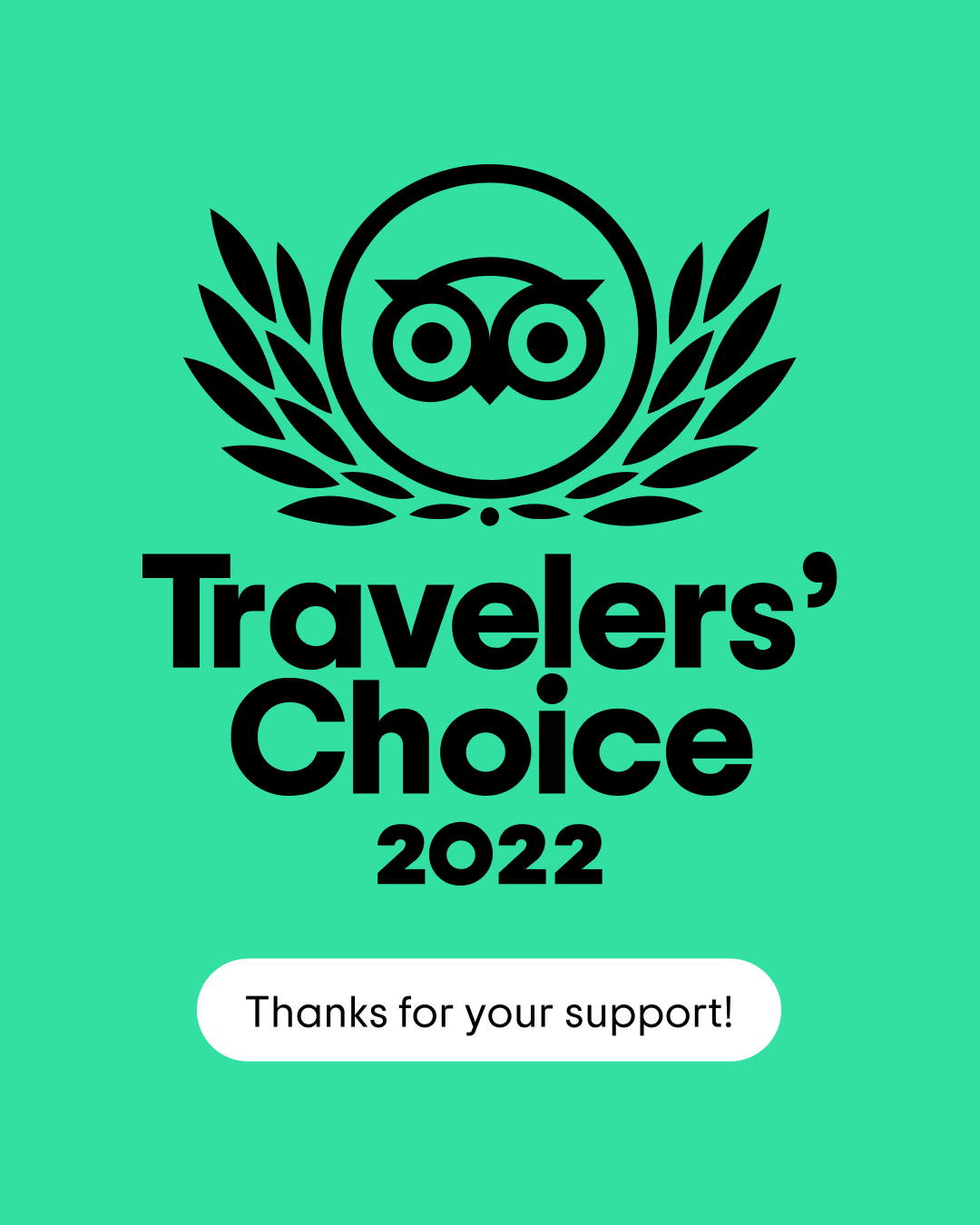 Zvml Tripadvisor Traveleres Choice Award 2022 Zvml Tripadvisor Traveleres Choice Award 2022